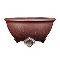 Algopix Similar Product 8 - Outdoor Indoor Garden Plant Pots Plant