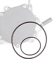 Algopix Similar Product 16 - RKX Vacuum Pump seal kitrebuild gasket