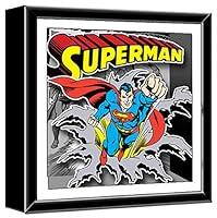 Algopix Similar Product 17 - Silver Buffalo SP8106SB DC Comics