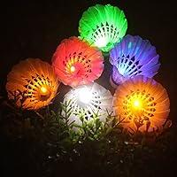 Algopix Similar Product 6 - Inngree LED Shuttlecock Badminton 6