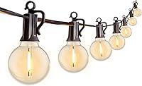 Algopix Similar Product 16 - Outdoor String Lights 25 Feet G40 Globe