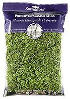 Algopix Similar Product 5 - Super Moss 26912 Spanish Moss