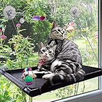 Algopix Similar Product 17 - Cat Perch Cat Window Perch Window Cat
