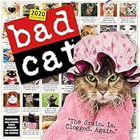 Algopix Similar Product 20 - Bad Cat Wall Calendar 2020