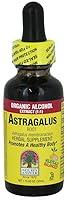 Algopix Similar Product 17 - Natures Answer Hrb Astragalus