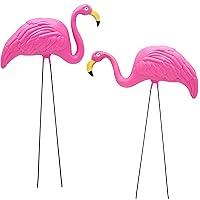 Algopix Similar Product 12 - 4Es Novelty Pink Flamingos Yard