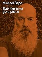 Algopix Similar Product 4 - Michael Stipe: Even the Birds Gave Pause