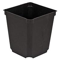 Algopix Similar Product 3 - McConkey Square Nursery Pot, Case of 60