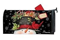 Algopix Similar Product 5 - Studio M Christmas Outdoor Mailbox