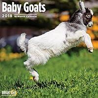 Algopix Similar Product 20 - Baby Goats 2018 16 Month Wall Calendar