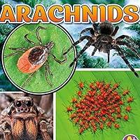 Algopix Similar Product 15 - Arachnids