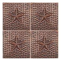 Algopix Similar Product 1 - Premier Copper Products T4DBS_PKG4