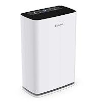 Algopix Similar Product 16 - COLZER Air Purifier with True HEPA Air