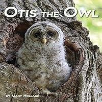 Algopix Similar Product 15 - Otis the Owl