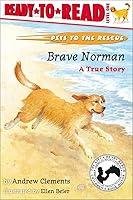 Algopix Similar Product 9 - Brave Norman : A True Story