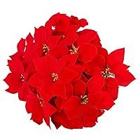 Algopix Similar Product 11 - Luyue 36 Pcs Artificial Red Poinsettia