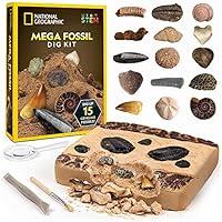Algopix Similar Product 17 - NATIONAL GEOGRAPHIC Mega Fossil Dig Kit