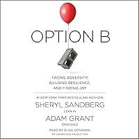 Algopix Similar Product 20 - Option B Facing Adversity Building