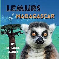 Algopix Similar Product 20 - Lemurs of Madagascar World of Animals