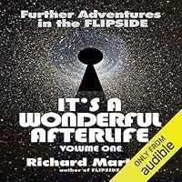 Algopix Similar Product 9 - Its A Wonderful Afterlife Volume One