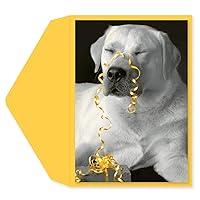 Algopix Similar Product 16 - Graphique Birthday Cards…