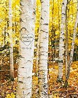 Algopix Similar Product 11 - Birch Trees Personalized Art Custom