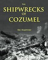 Algopix Similar Product 8 - The Shipwrecks of Cozumel