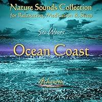 Algopix Similar Product 8 - Nature Sounds Collection Sea Waves