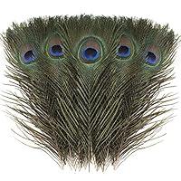 Algopix Similar Product 13 - Larryhot Natural Peacock Feathers Bulk