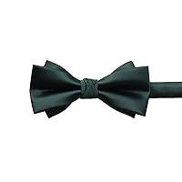 Algopix Similar Product 7 - CHENATING Bowtie For Men Wedding