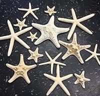 Algopix Similar Product 19 - PEPPERLONELY 14PC Mixed Starfish