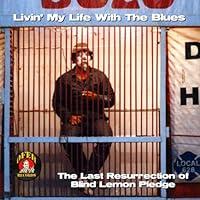 Algopix Similar Product 4 - Livinâ€™ My Life With The Blues