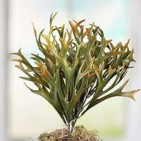 Algopix Similar Product 6 - Factory Direct Craft Artificial Green
