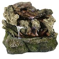 Algopix Similar Product 17 - Sunnydaze Aged Tree Trunk Tabletop