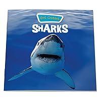 Algopix Similar Product 6 - God Created Sharks