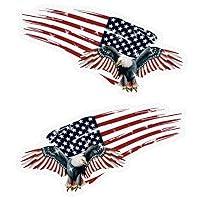 Algopix Similar Product 18 - Reflective American Eagle Magnet for