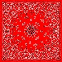 Algopix Similar Product 19 - ZANheadgear® Bandanna Cotton Red Paisley