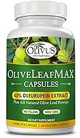 Algopix Similar Product 9 - OliveLeafMAX Olive Leaf Extract 40
