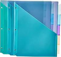 Algopix Similar Product 16 - Amazon Basics Two Pocket Plastic
