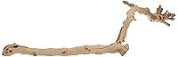 Algopix Similar Product 12 - Exo Terra Forest Branch, Large