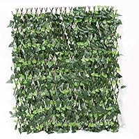 Algopix Similar Product 18 - Simply Elegant Accordian Ivy Lattice