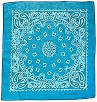 Algopix Similar Product 8 - CottonPolyester Paisley Dog Bandana