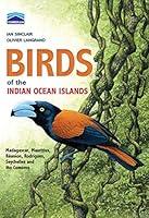 Algopix Similar Product 20 - Chamberlains Birds of the Indian Ocean