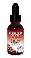 Algopix Similar Product 10 - Planetary Herbals Chaga Liquid Full