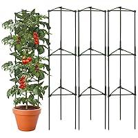 Algopix Similar Product 14 - arbxvnr 3 Package up to 48in Tomato