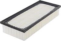 Algopix Similar Product 7 - ACDelco Gold A3160C Air Filter