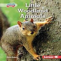 Algopix Similar Product 7 - Little Woodland Animals