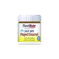 Algopix Similar Product 19 - Plastikote B17W 59 ml Enamel Paint