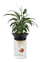 Algopix Similar Product 20 - PennPlax APON1 Aquaponic Planter and