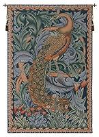 Algopix Similar Product 14 - Peacock french tapestry  19 in x 29